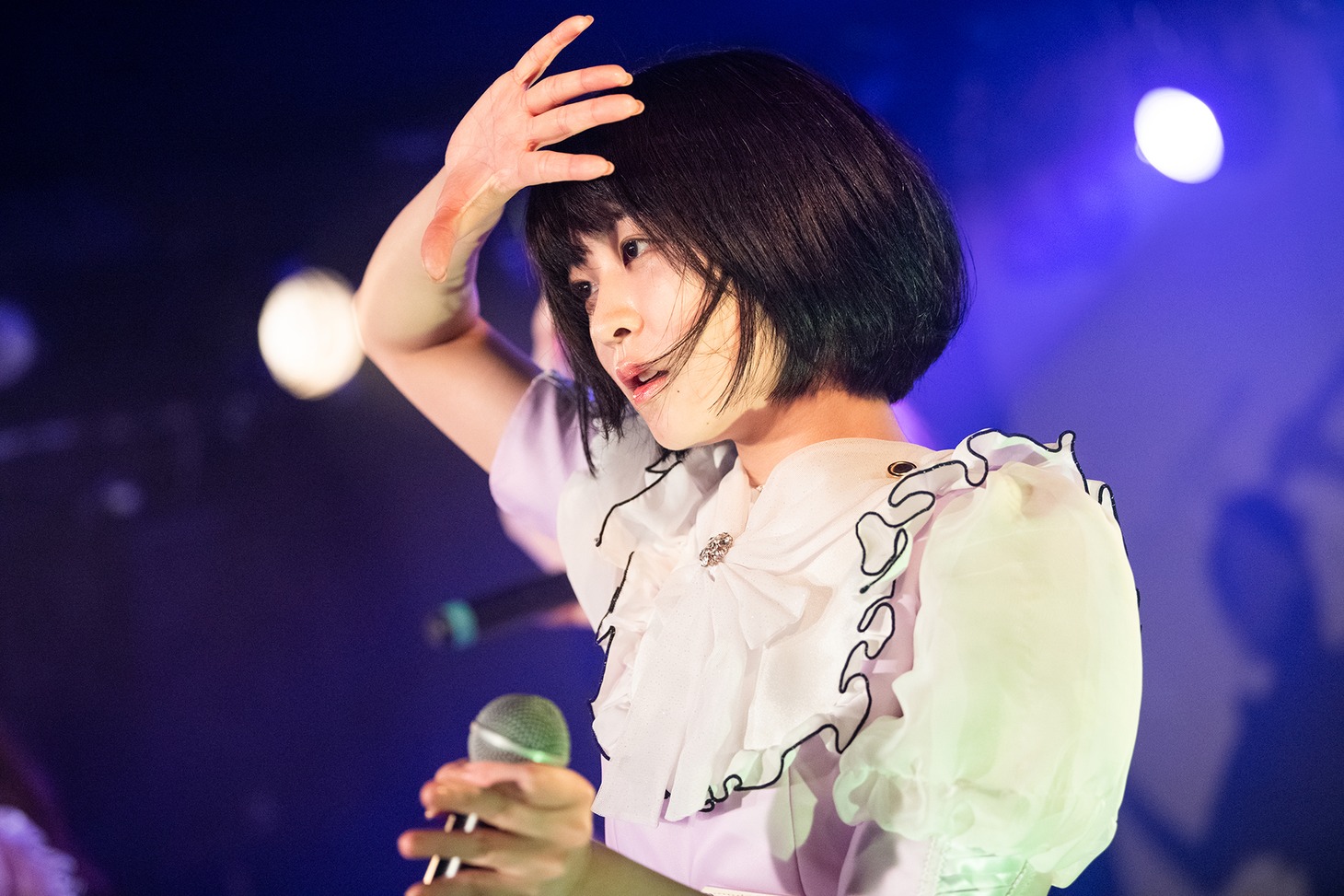 吉乃椿