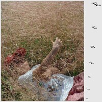 蓮沼執太フィル「Eco Echo」配信ジャケット