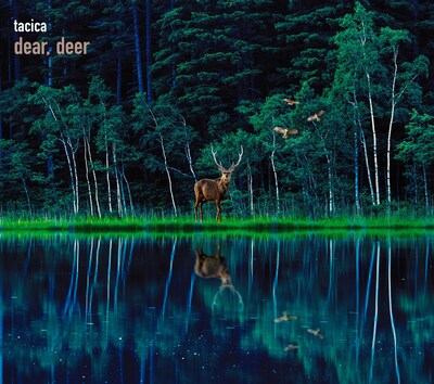 tacica「dear, deer」ジャケット