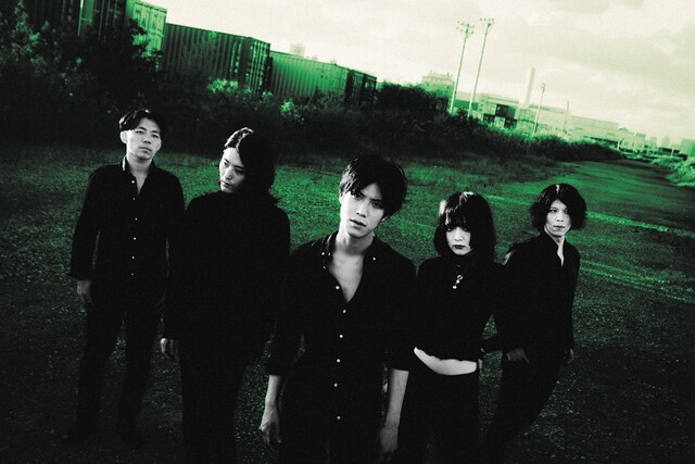 Mississippi Khaki Hair