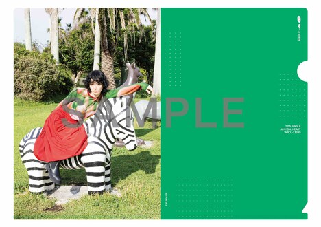 あいみょん「ハート」店舗購入特典クリアファイルサンプル画像