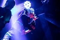 タマネ（Photo by Masayo）