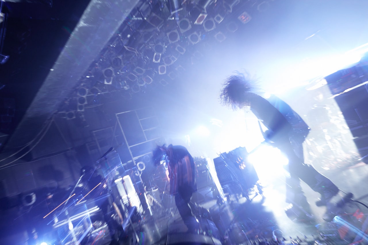 THE NOVEMBERS 11周年記念 ライブCD音源 THE NOVEMBERS クラウドファン