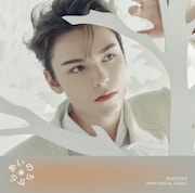 SEVENTEEN「あいのちから」通常盤ジャケットVERNONバージョン