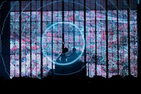 「DUSTCELL 3rd ONE-MAN LIVE『自白』」の様子。（撮影：竹中圭樹）