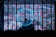 「DUSTCELL 3rd ONE-MAN LIVE『自白』」の様子。（撮影：竹中圭樹）