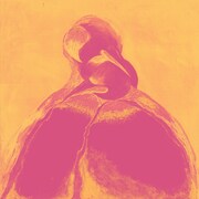 South Penguin「vitamin feat. 没 a.k.a NGS」配信ジャケット