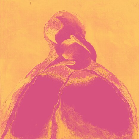 South Penguin「vitamin feat. 没 a.k.a NGS」配信ジャケット