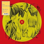 GEZAN「B-SIDE REBELLION」ジャケット