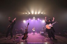 wacci「wacci Live at 日本武道館 2021 ～YOUdience～」の様子。（撮影：富田望）