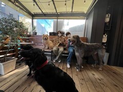 実は犬派の北村匠海、相葉雅紀と一緒に“看板犬”に会いに行く