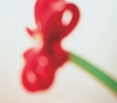 マカロニえんぴつ「ハッピーエンドへの期待は」初回限定盤ジャケット