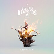The Burning Deadwoods「Labyrinth feat. 伶」配信ジャケット