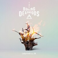 The Burning Deadwoods「Labyrinth feat. 伶」配信ジャケット