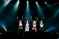 ASP（Photo by sotobayashi kenta）