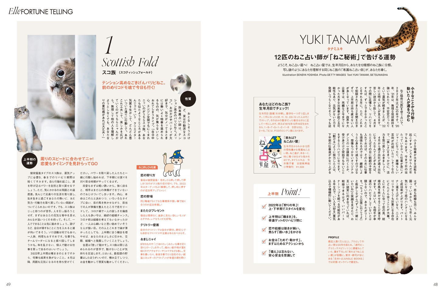 「ELLE Japon」1月号に掲載される記事「ネコも占う!?2022 年上半期あなたの運命」。(c)ELLE JAPON January2022 Illustration SENSYA YOSHIDA