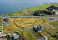 らぽっぽ なめがたファーマーズヴィレッジでの田んぼアート。