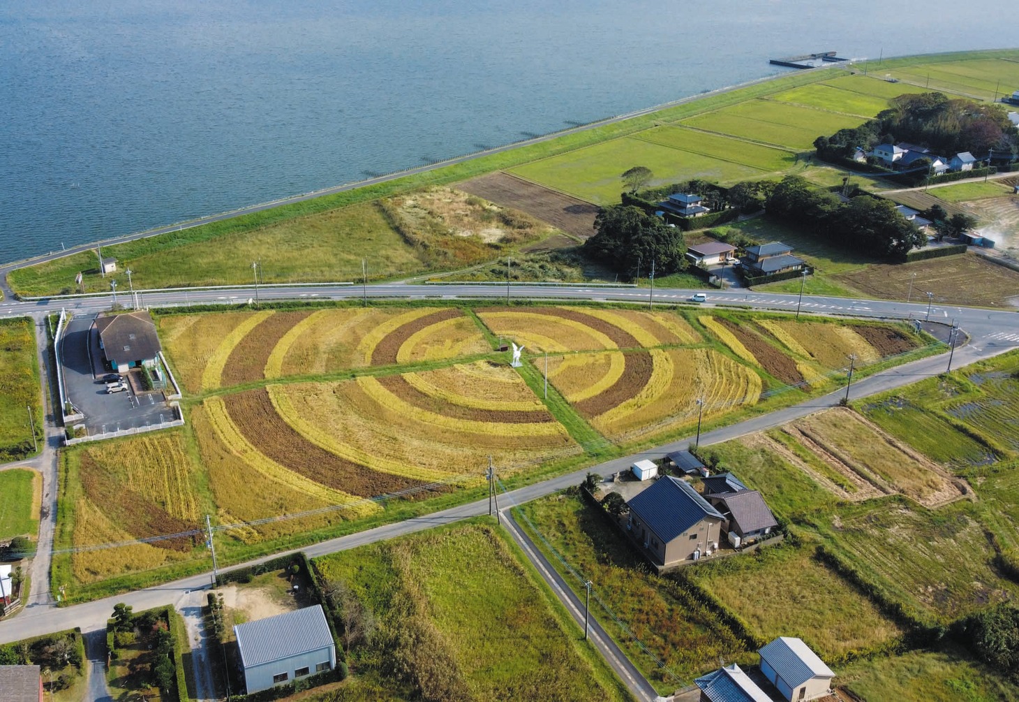 らぽっぽ なめがたファーマーズヴィレッジでの田んぼアート。