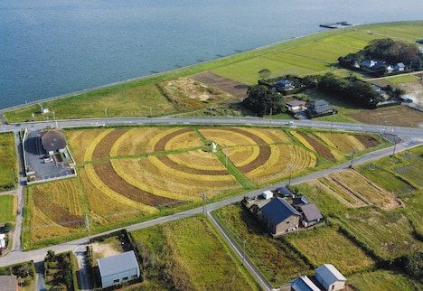 らぽっぽ なめがたファーマーズヴィレッジでの田んぼアート。