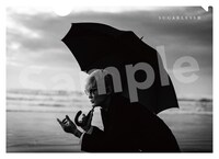 スガシカオ「Sugarless III」特典クリアファイル（VICTOR ONLINE STORE）