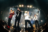「THE PINBALLS 15th Anniversary Oneman "Go Back to Zero"」の様子。(撮影:白石達也)