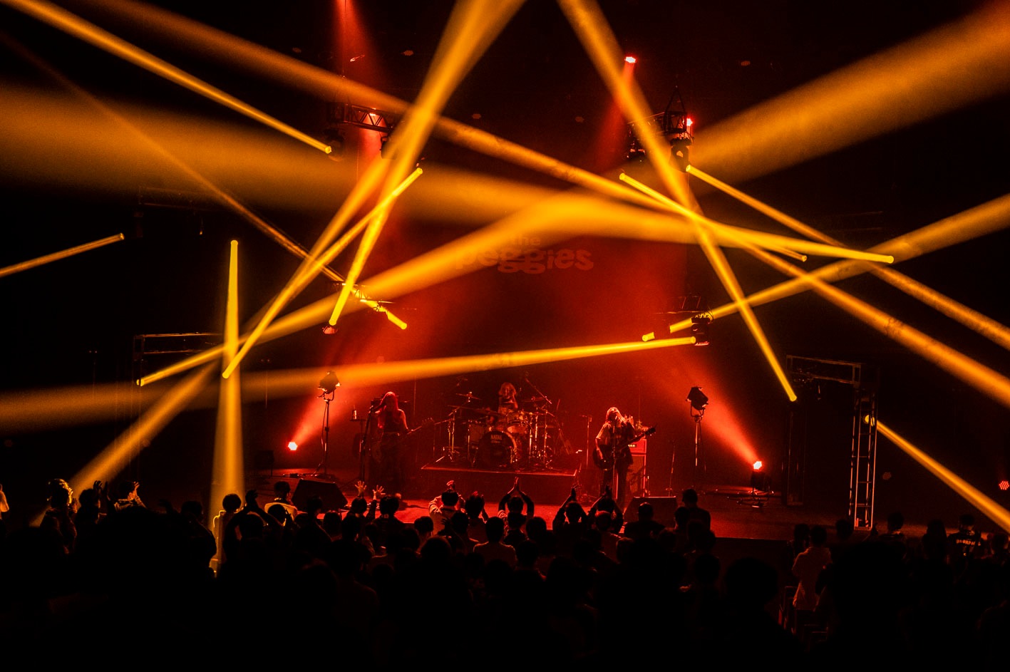 「the peggies tour 2021 "Be ORANGE"」中野サンプラザホール公演より。（撮影：河本悠貴）