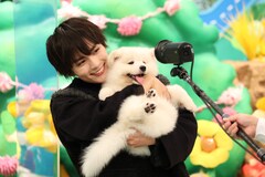 なにわ男子・大西流星が“おバカワいい”サモエドの赤ちゃん抱えてスマイル炸裂