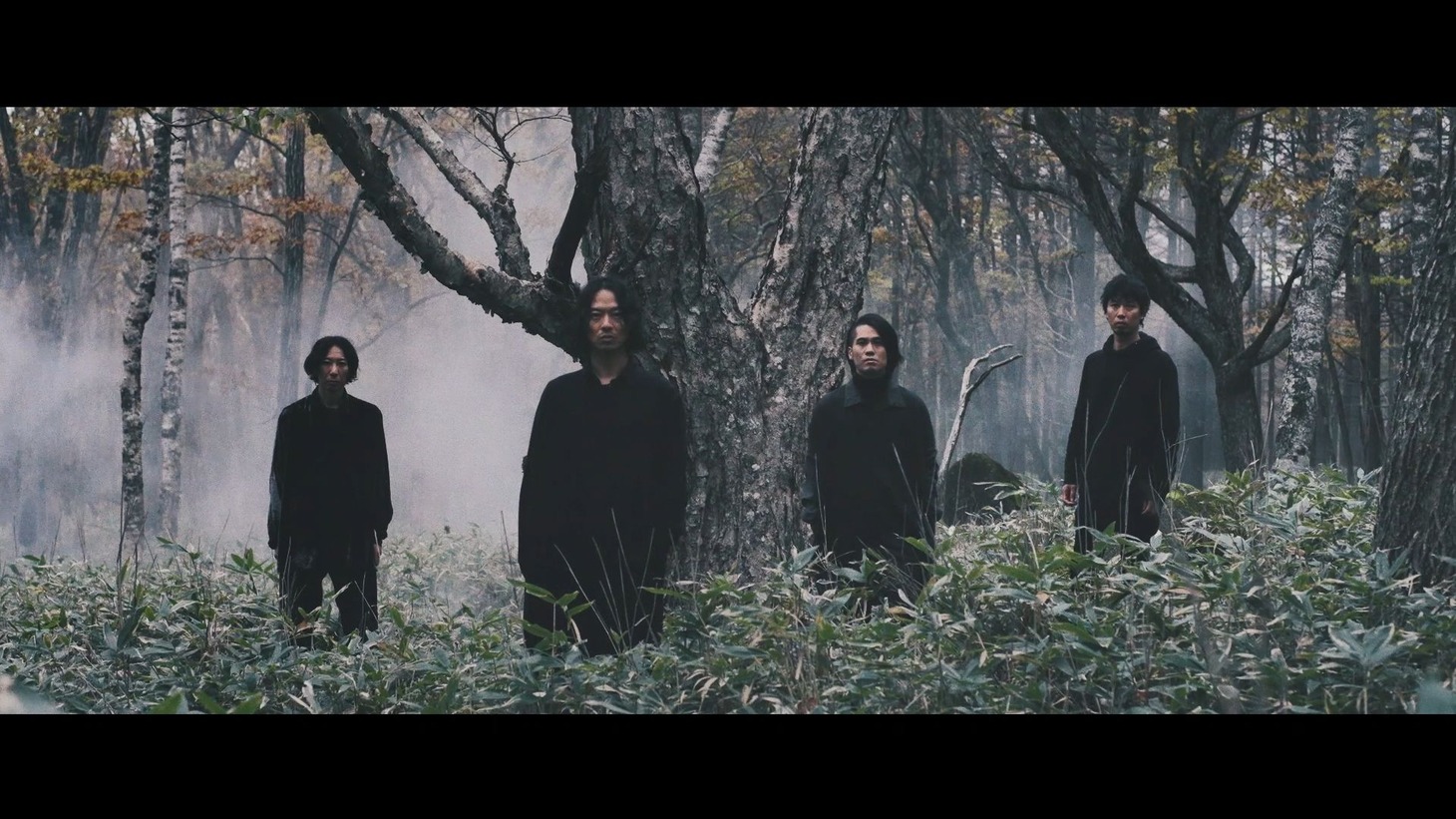 THE BACK HORN「希望を鳴らせ」ミュージックビデオのサムネイル。