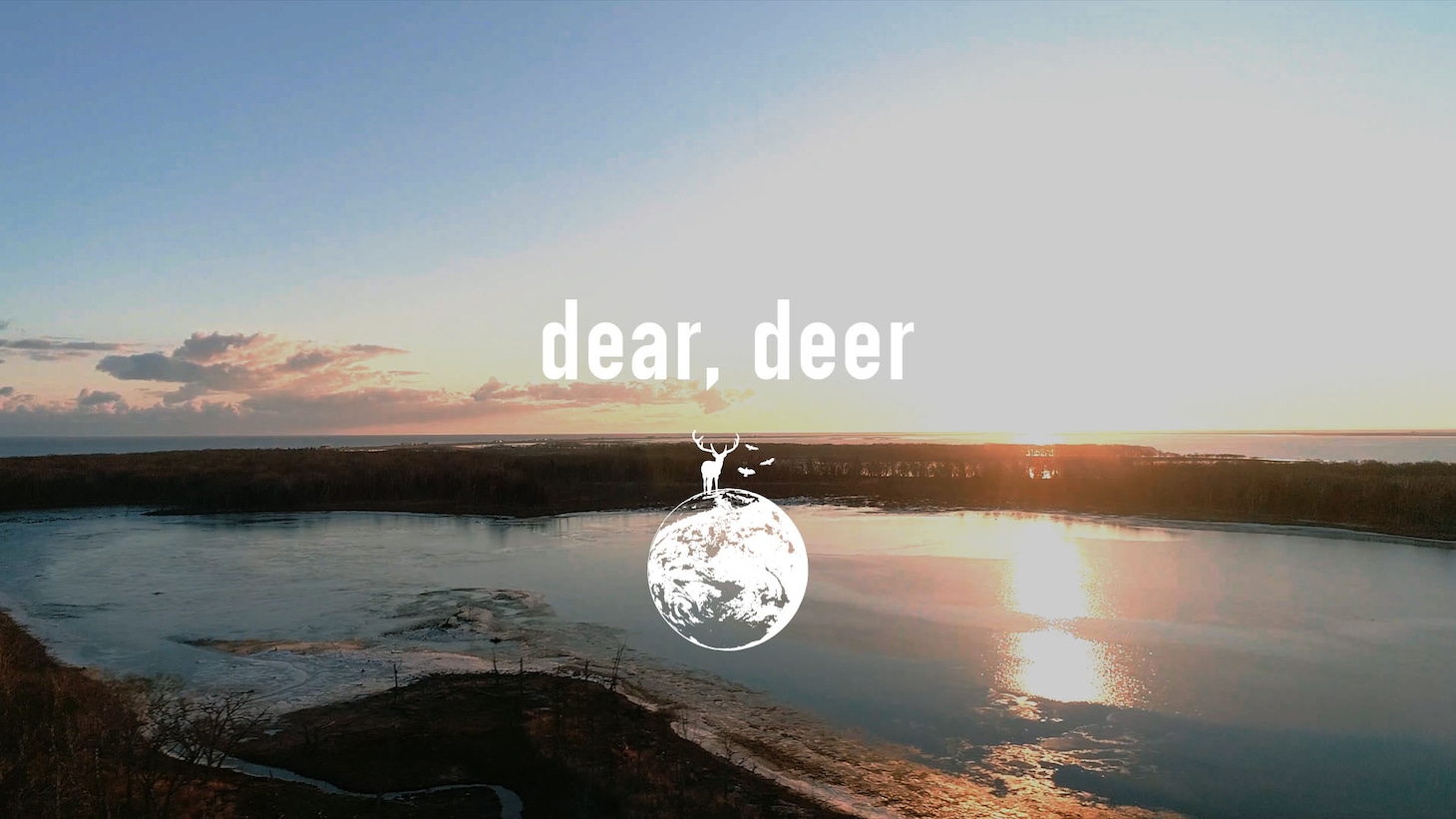 tacica「dear, deer」ミュージックビデオのサムネイル。
