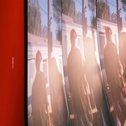 SHO-SENSEI!!「君が音楽をやめた」ビジュアル