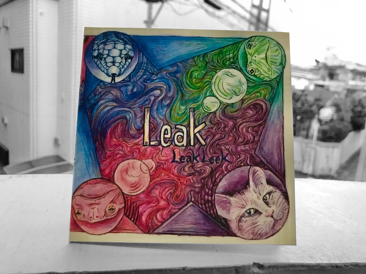 LeakLeek「LEAK」のパッケージ。