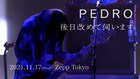 PEDRO、アルバム再現したZeppワンマンの映像を期間限定公開