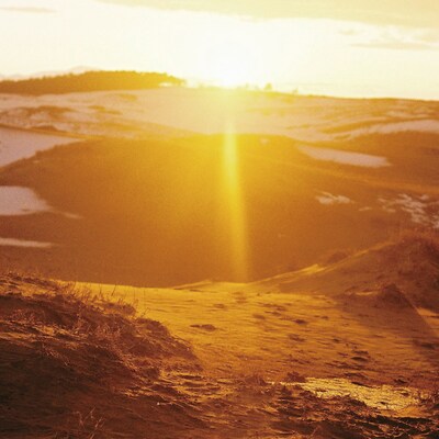 あぶらこぶ「光になれ」配信ジャケット