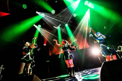 MIGMA SHELTER（Photo by Masayo）