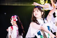 クスノキロア（Photo by Masayo）