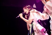 クスノキロア（Photo by Masayo）