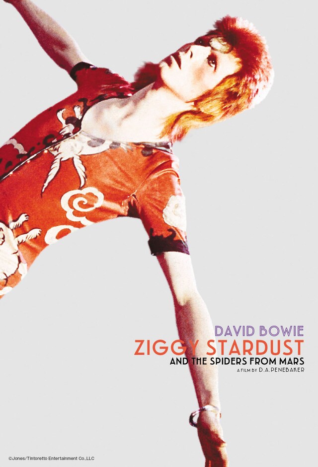 「ジギー・スターダスト」ポスタービジュアル