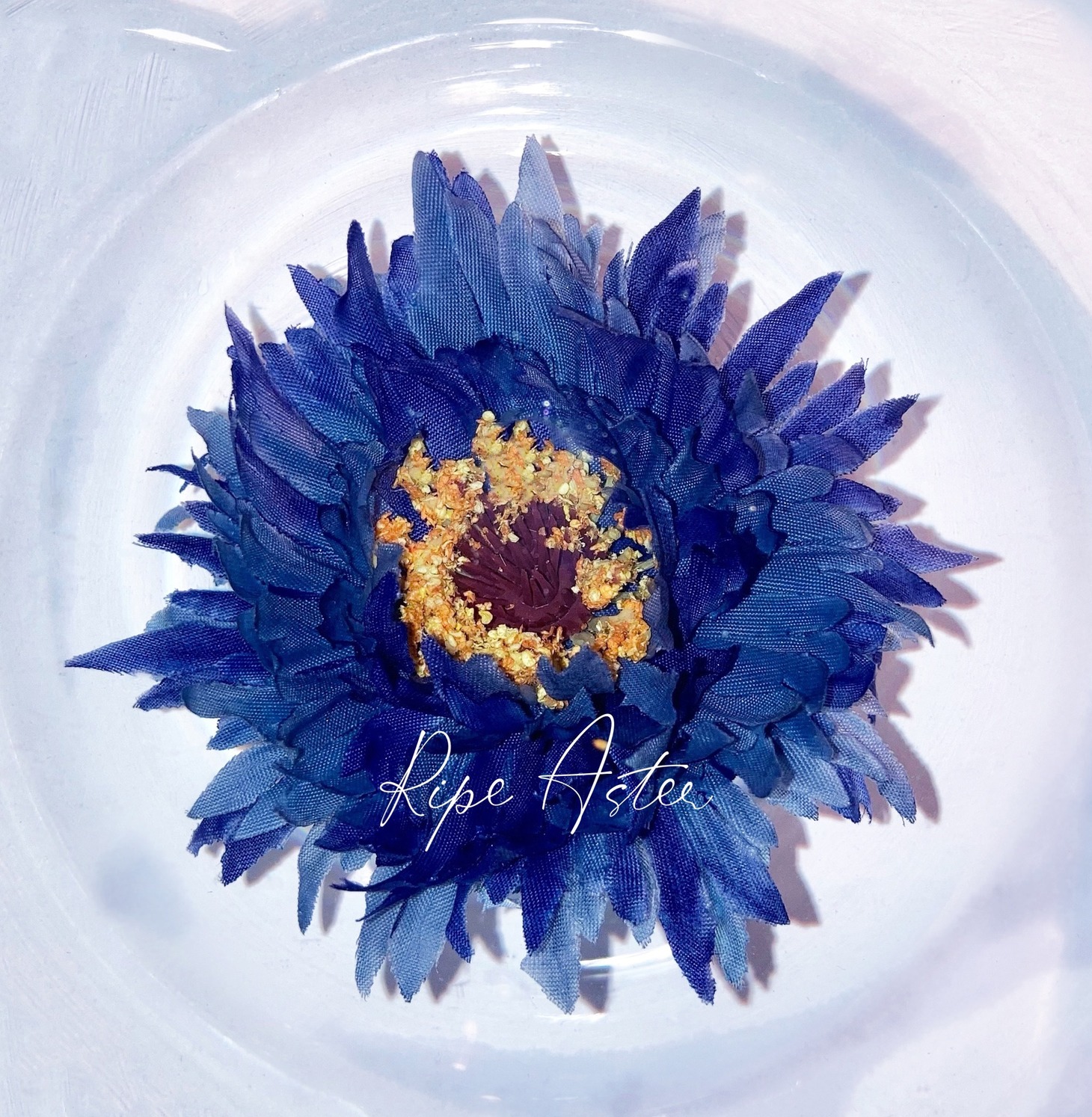八木海莉「Ripe Aster」配信ジャケット