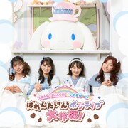 「TEAM SHACHIとシナモロールのばれんたいんポジティブ大作戦！」ビジュアル