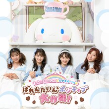 「TEAM SHACHIとシナモロールのばれんたいんポジティブ大作戦！」ビジュアル