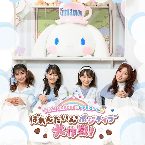 「TEAM SHACHIとシナモロールのばれんたいんポジティブ大作戦！」ビジュアル