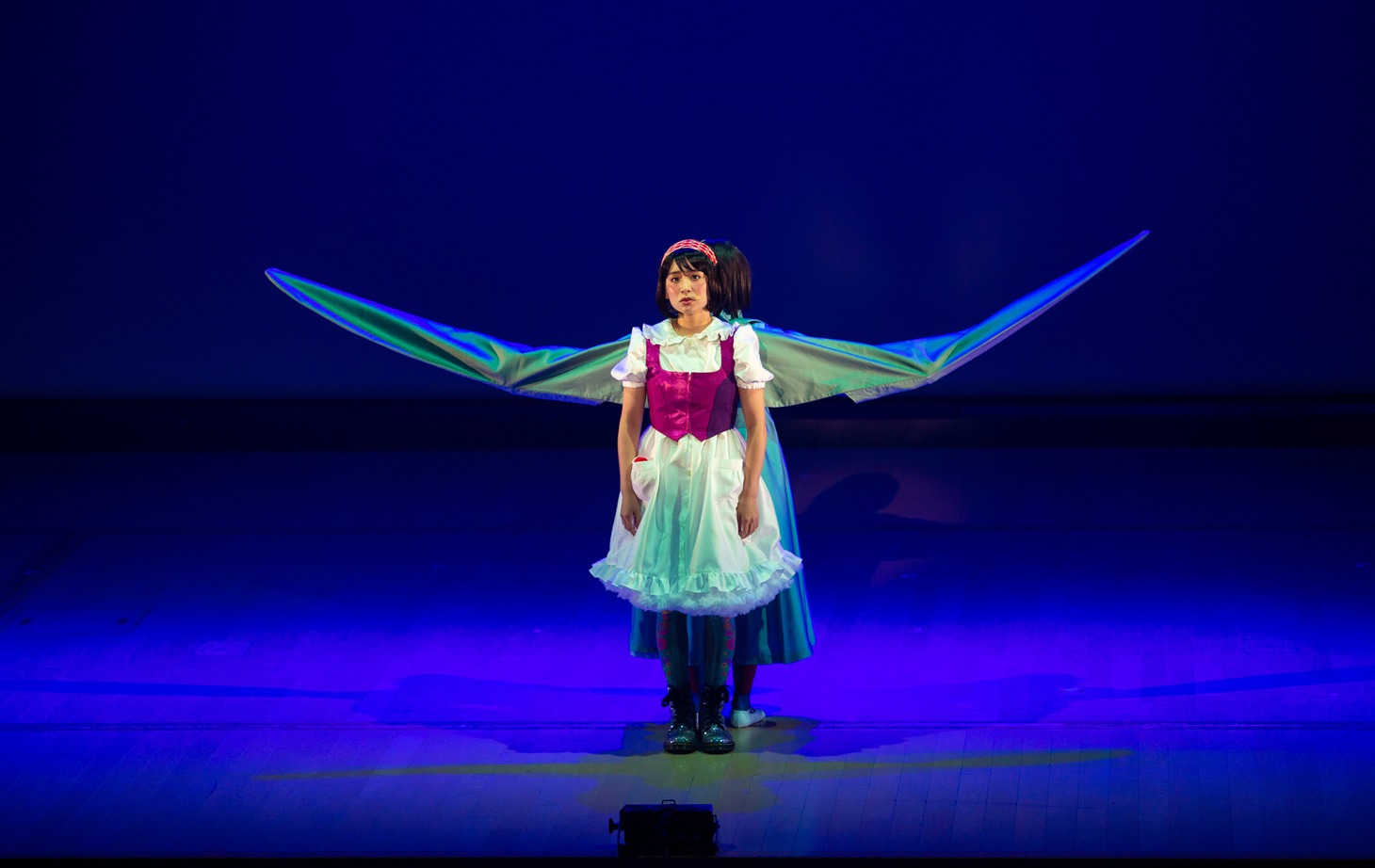 「青い鳥と赤い猫」より。