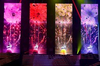 「PRIDE」のテーマ曲に合わせて登場したももいろクローバーZ。（撮影：高田真希子）