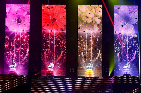 「PRIDE」のテーマ曲に合わせて登場したももいろクローバーZ。(撮影:高田真希子)