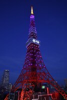 乃木坂46カラーの紫色にライトアップされた東京タワー。