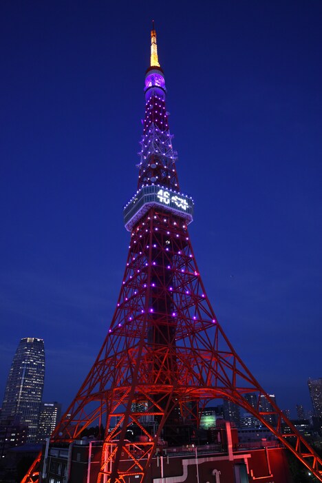 乃木坂46カラーの紫色にライトアップされた東京タワー。