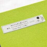 小沢健二「飛行する君と僕のために / 運命、というかUFOに（ドゥイ、ドゥイ）」外観