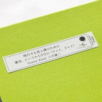 小沢健二「飛行する君と僕のために / 運命、というかUFOに（ドゥイ、ドゥイ）」外観