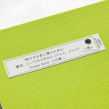 小沢健二「飛行する君と僕のために / 運命、というかUFOに（ドゥイ、ドゥイ）」外観