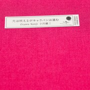 小沢健二「犬は吠えるがキャラバンは進む」再発盤の外観。
